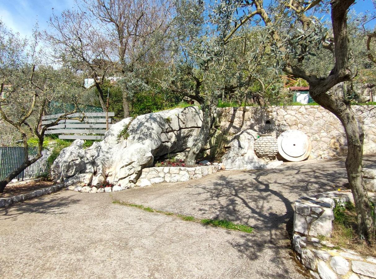Cynara Holiday House マッサ・ルブレンセ エクステリア 写真